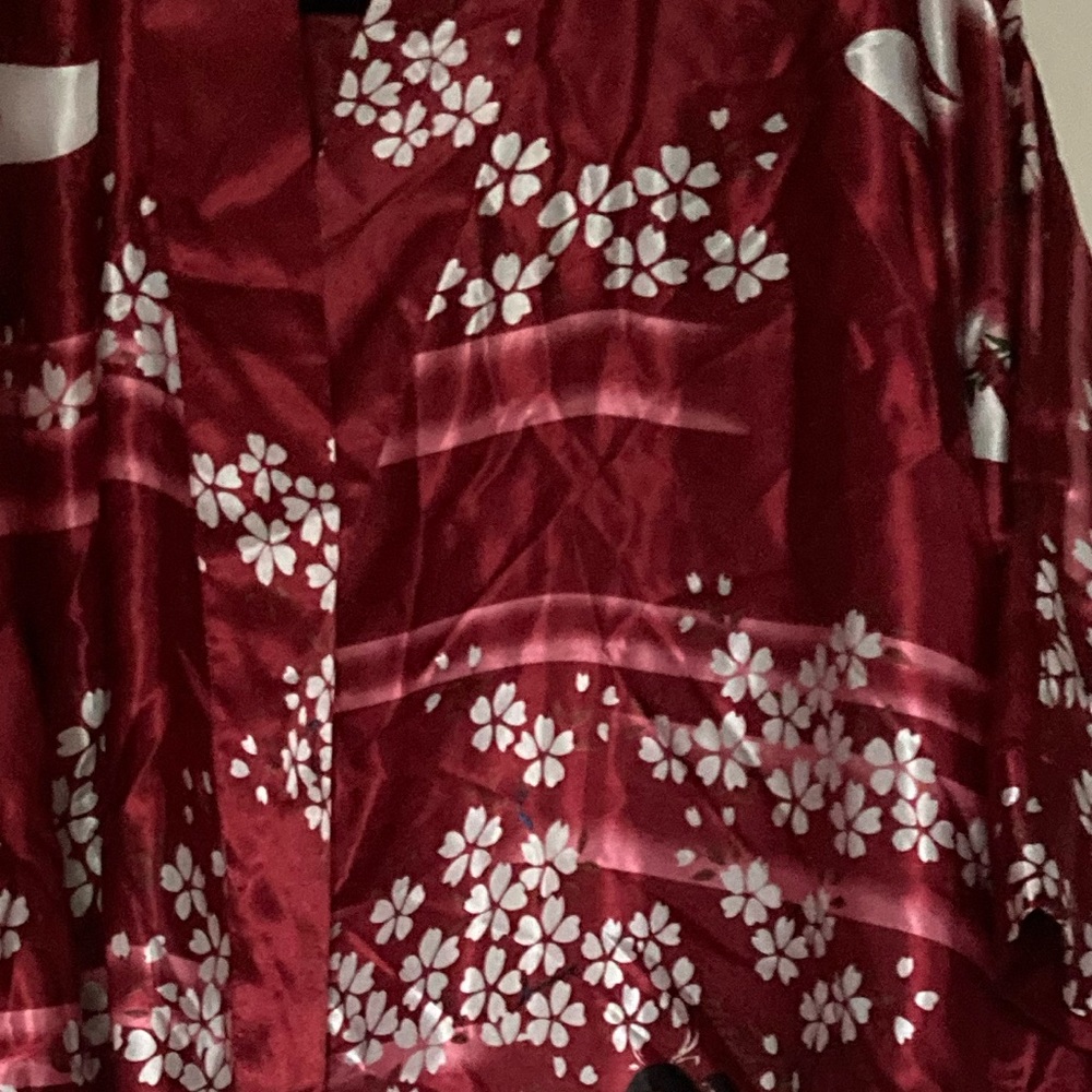 Red Satin Blend Shiny Short Kimono - Picture 3 of 10